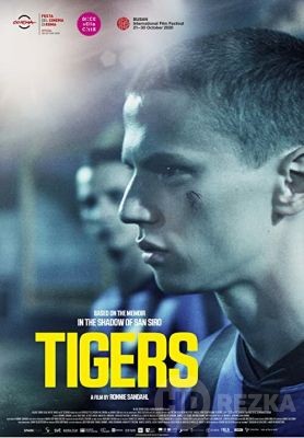 Тигры (2021)